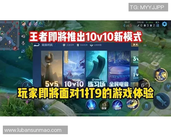 热议王者荣耀V5版本带来的游戏意识变革与玩家策略调整探讨